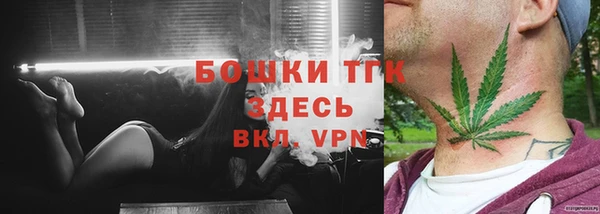 трава Карпинск