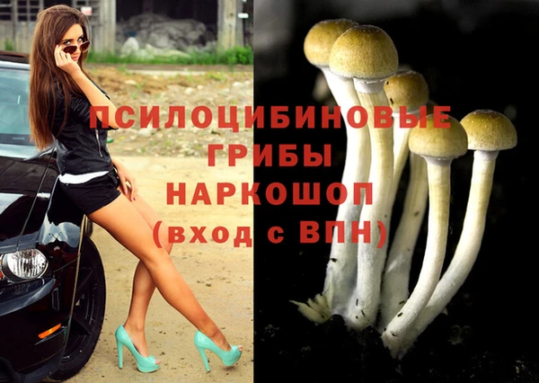 трава Карпинск