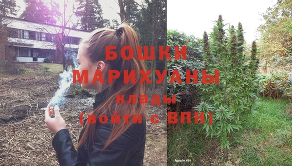 трава Карпинск