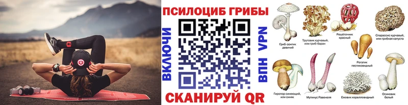 Псилоцибиновые грибы Magic Shrooms  Бердск 